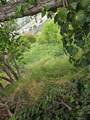 3717 Woolwine - Photo 4