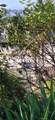 3717 Woolwine - Photo 7