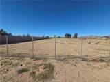 43070 Duntroon - Photo 11