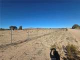43070 Duntroon - Photo 6