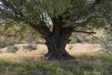 0 Millstream - Photo 17