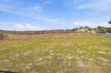 6920 Calle Dia - Photo 19