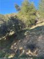 0 Vac/San Francisquito Cyn - Photo 4