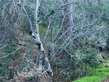 0 Snowy Creek - Photo 2