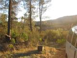 9000 State Highway 29 - Photo 4
