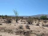  Rango - Photo 4