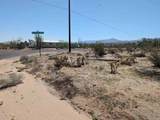  Rango - Photo 2