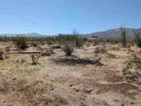  Rango - Photo 3