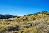 48725 Shallow Springs Road - Photo 18