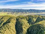 48725 Shallow Springs Road - Photo 40