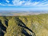 48725 Shallow Springs Road - Photo 41