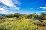 48725 Shallow Springs Road - Photo 9