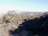 32595 Newport - Photo 4