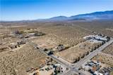 32961 Old Woman Springs - Photo 10