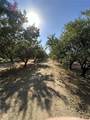 27726 Palm St - Photo 7