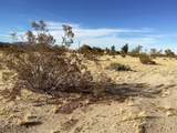 42979 Mandril - Photo 11