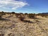 42979 Mandril - Photo 13
