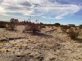 42979 Mandril - Photo 14