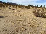 42979 Mandril - Photo 6