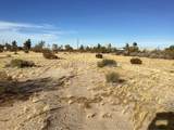 42979 Mandril - Photo 10