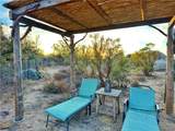 30415 Chihuahua Valley - Photo 21