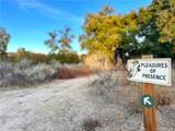 30415 Chihuahua Valley - Photo 46