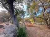 30415 Chihuahua Valley - Photo 47
