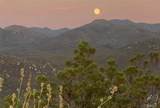 30415 Chihuahua Valley - Photo 51