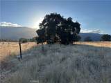 37270 Highway 79 - Photo 12