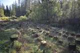14550 Grizzly Hill - Photo 24