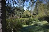 14550 Grizzly Hill - Photo 25