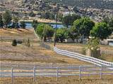 446 Roundup - Photo 11