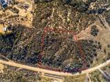 889 Forest Spring - Photo 10
