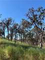 5358 Mariposa Heights - Photo 3
