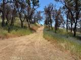 5358 Mariposa Heights - Photo 7