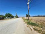 0 Olive - Photo 21