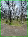 15365 Mason - Photo 5