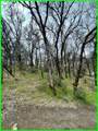 15365 Mason - Photo 7