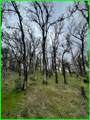 15365 Mason - Photo 8