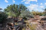 13298 Chihuahua Valley - Photo 17