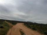 0 20 Mule Team - Photo 12