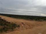 0 20 Mule Team - Photo 15
