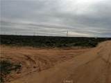 0 20 Mule Team - Photo 18
