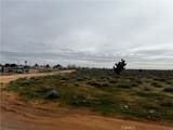 0 20 Mule Team - Photo 20