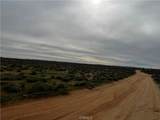 0 20 Mule Team - Photo 21