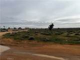 0 20 Mule Team - Photo 22
