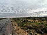 0 20 Mule Team - Photo 5