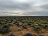 0 20 Mule Team - Photo 10