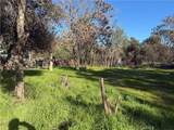 3606 Oleander - Photo 1