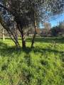3606 Oleander - Photo 4